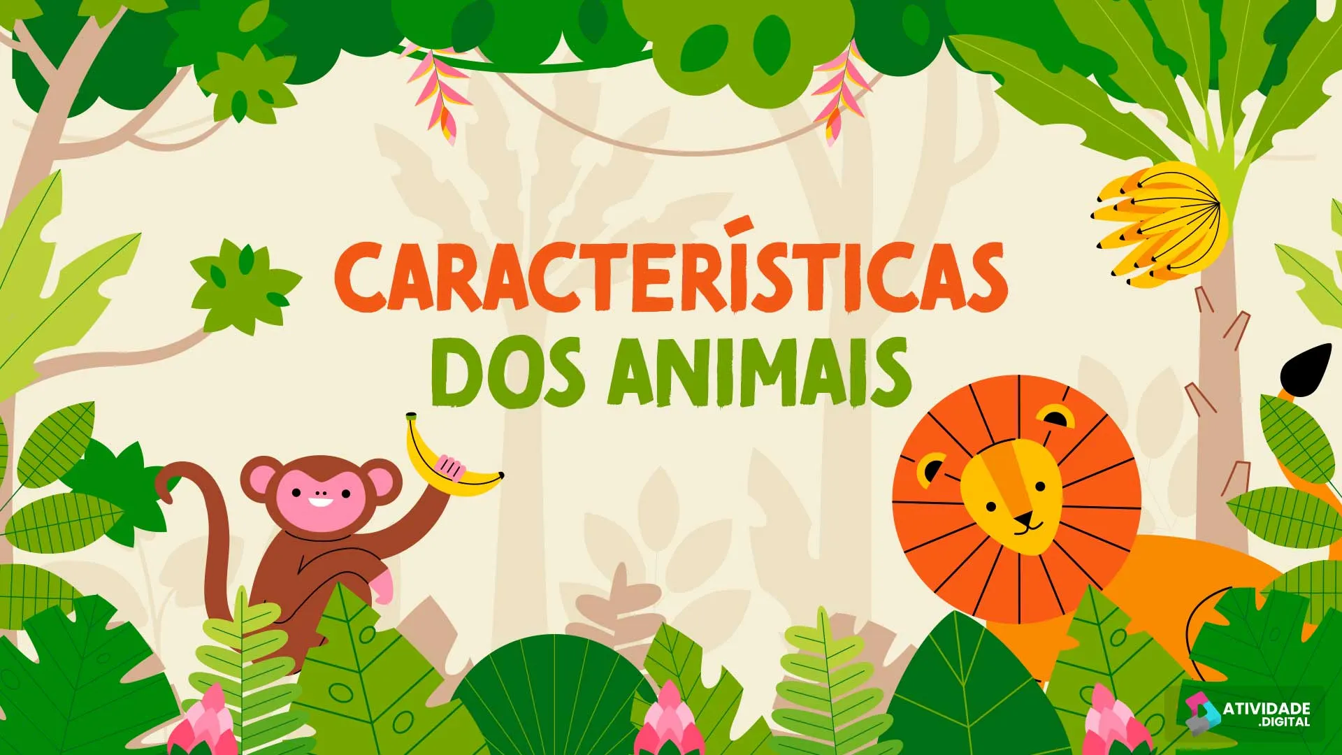 Características dos animais