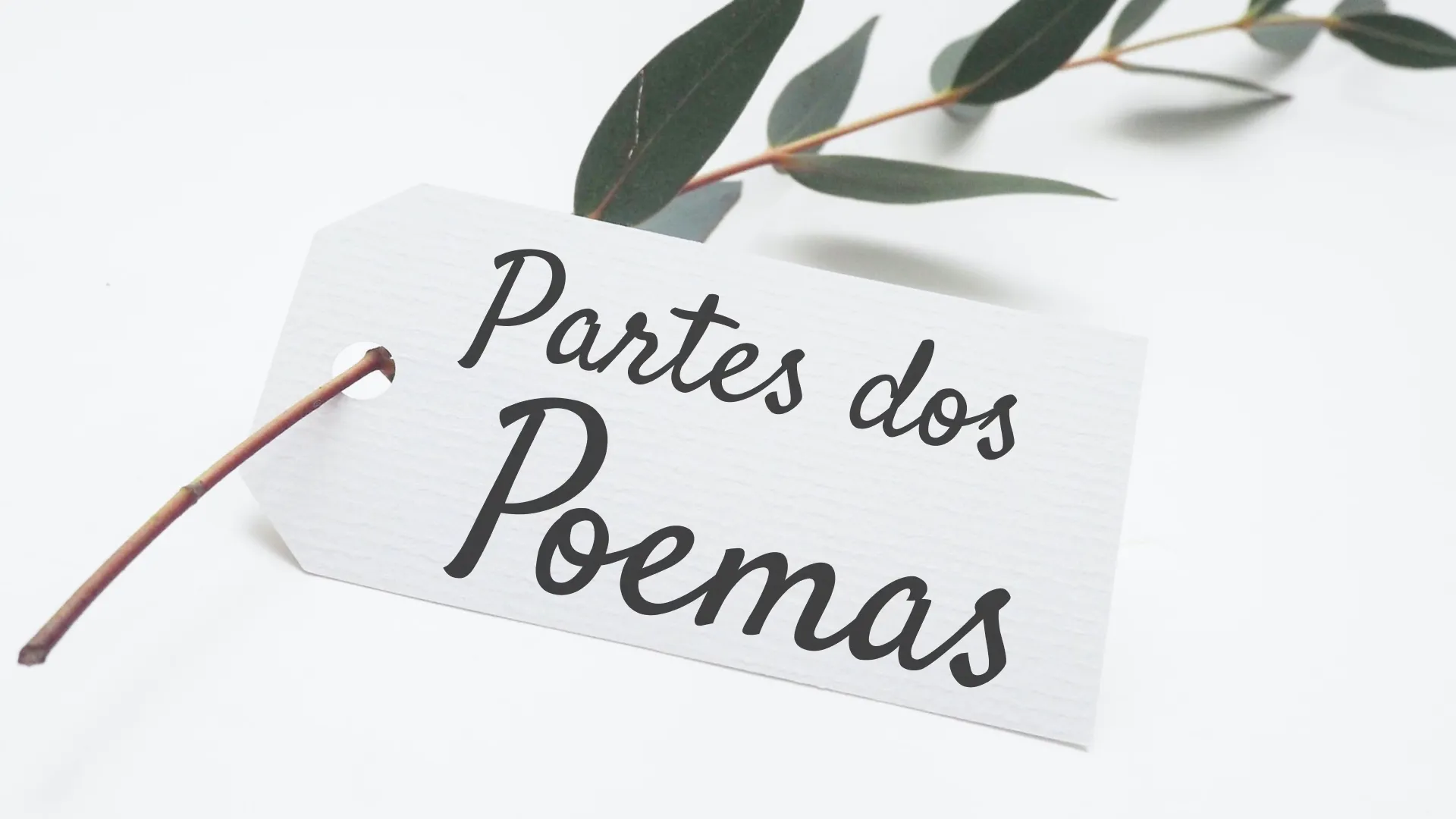 As partes dos poemas