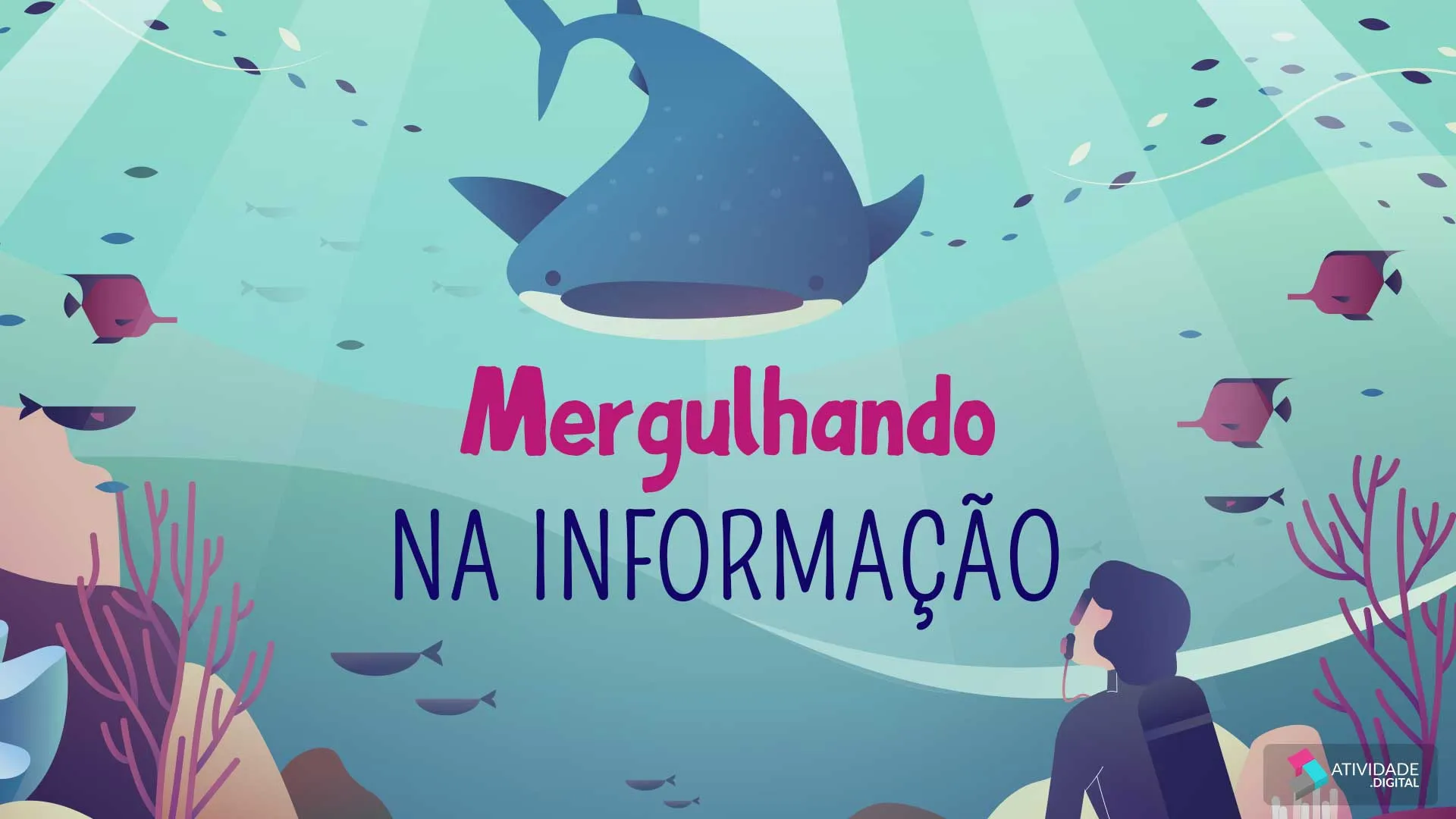 Mergulhando na informação