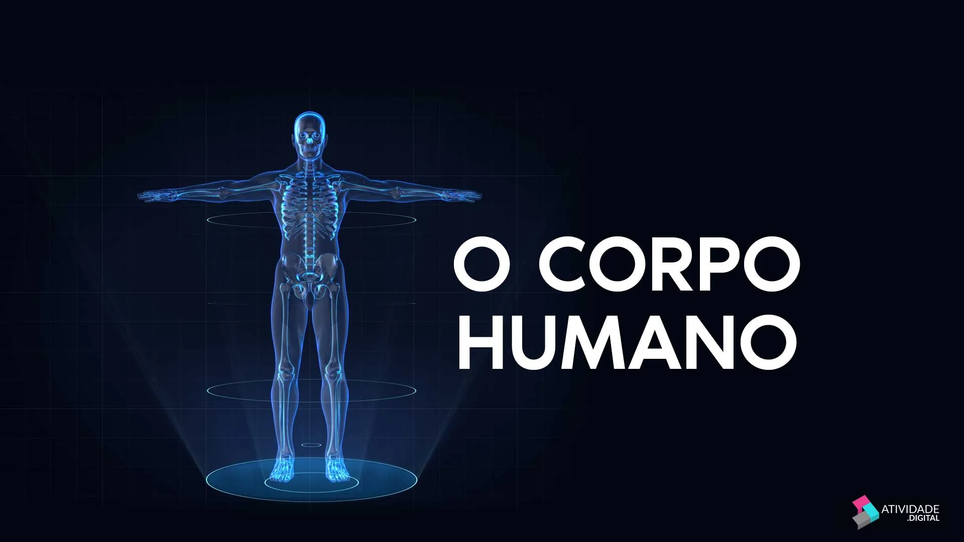 O corpo humano