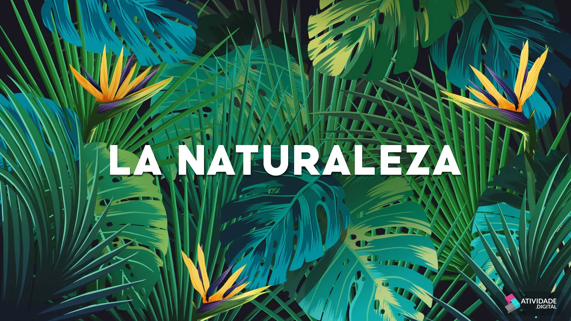 LA NATURALEZA