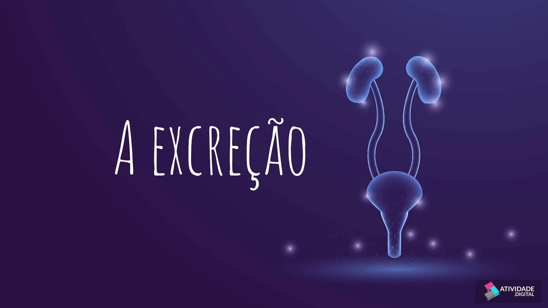 A excreção