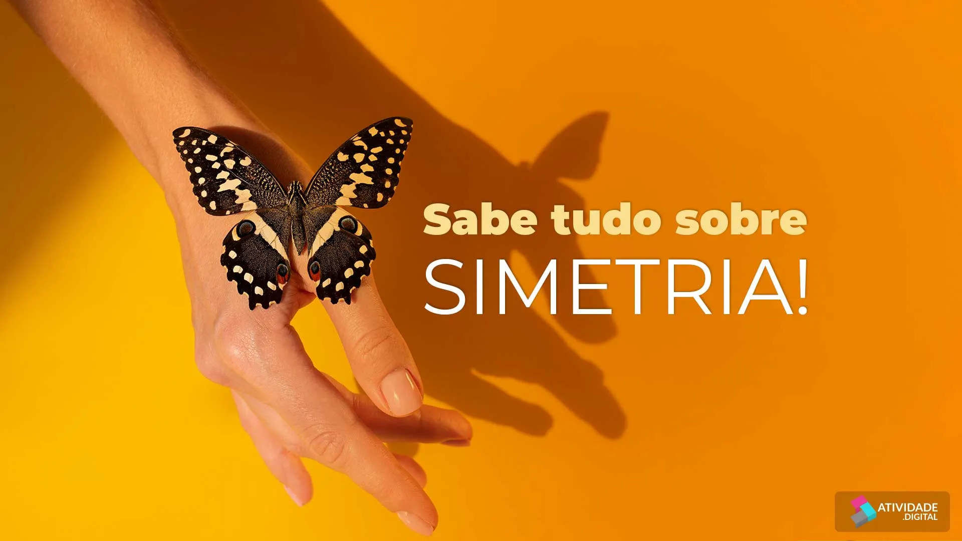 Sabe tudo sobre Simetria!