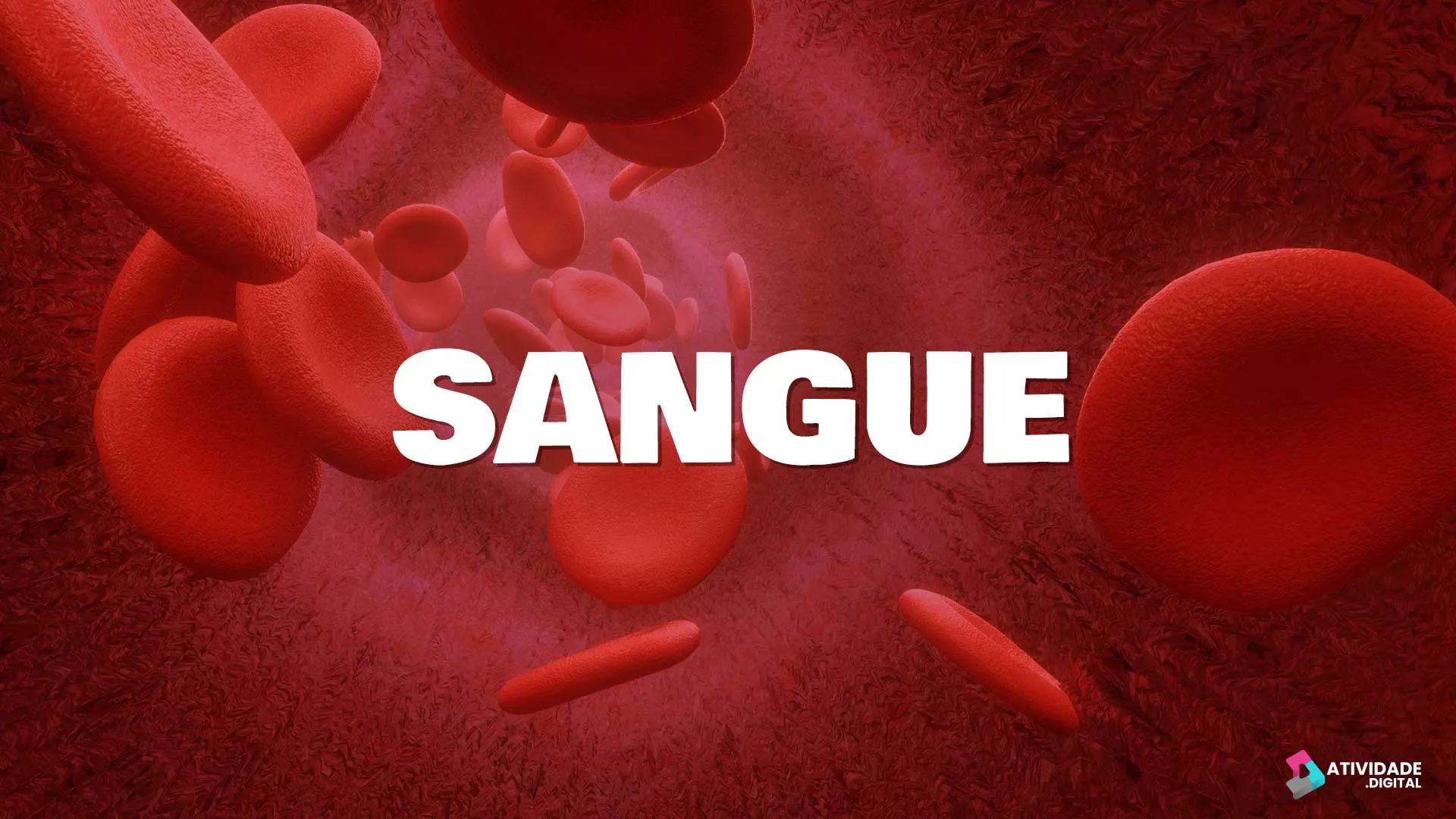  Sangue